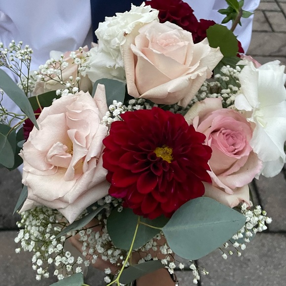 Meet your Posher, Kay - Picture 1 of 1